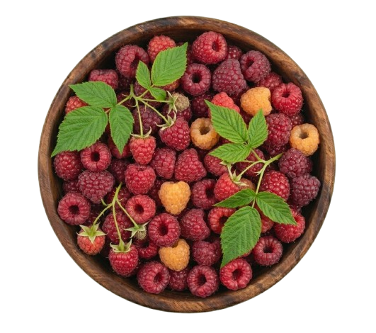 Raspberry