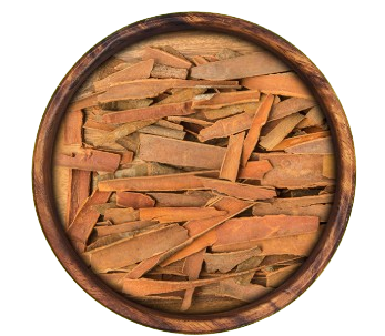 Cassia