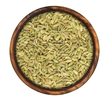 Fennel