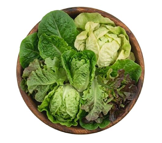 Lettuce