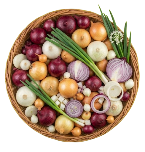 Onion