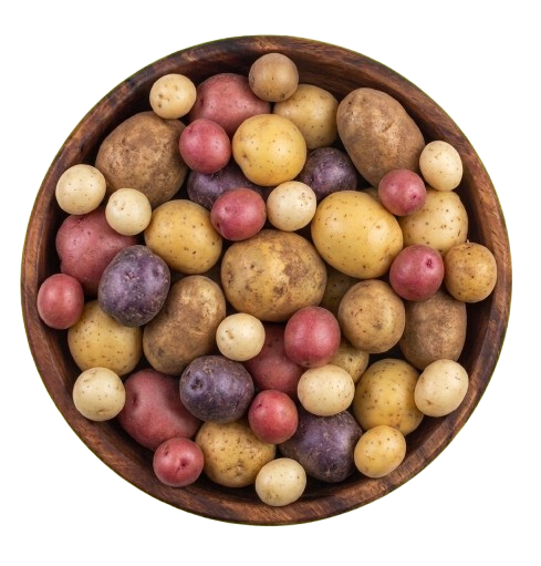 Potato
