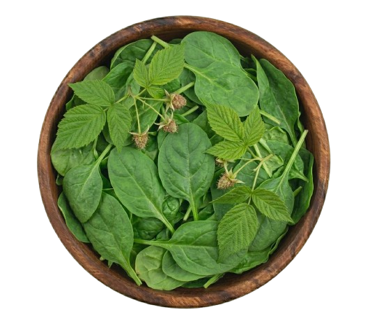 Spinach