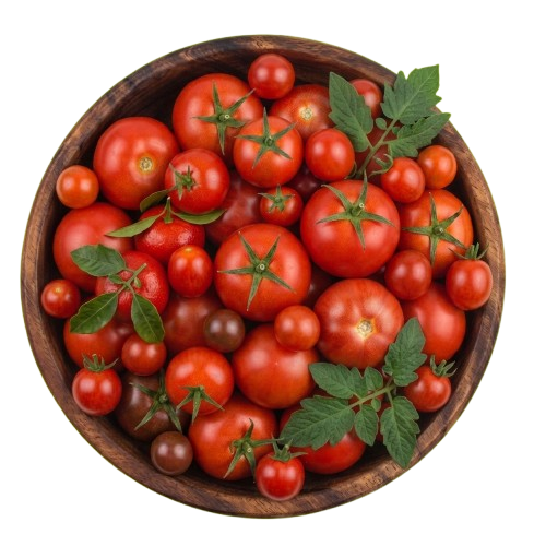 Tomato