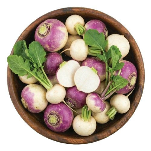 Turnip
